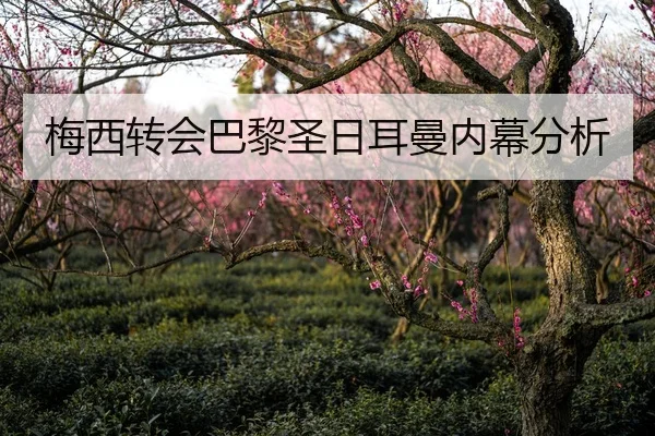 梅西转会巴黎圣日耳曼内幕分析